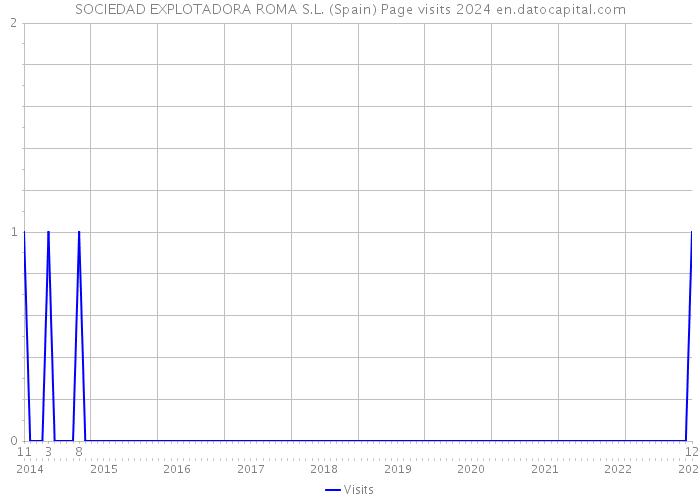 SOCIEDAD EXPLOTADORA ROMA S.L. (Spain) Page visits 2024 