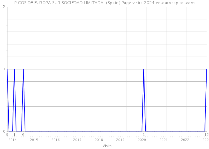 PICOS DE EUROPA SUR SOCIEDAD LIMITADA. (Spain) Page visits 2024 