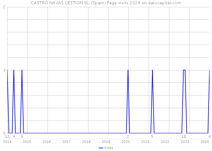 CASTRO NAVAS GESTION SL. (Spain) Page visits 2024 