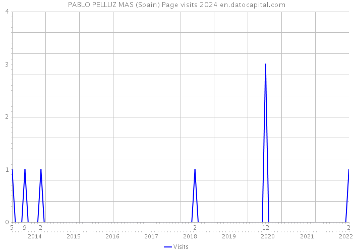 PABLO PELLUZ MAS (Spain) Page visits 2024 