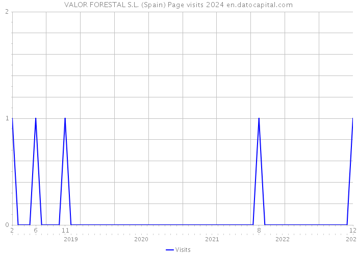 VALOR FORESTAL S.L. (Spain) Page visits 2024 