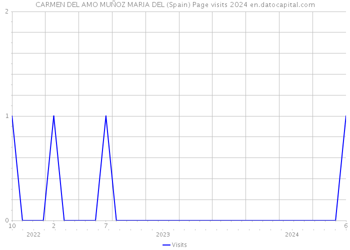 CARMEN DEL AMO MUÑOZ MARIA DEL (Spain) Page visits 2024 