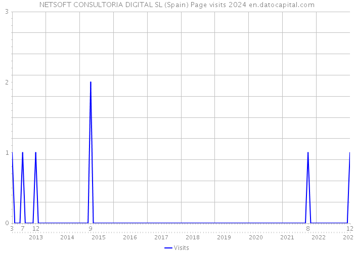 NETSOFT CONSULTORIA DIGITAL SL (Spain) Page visits 2024 