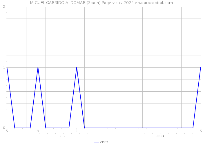 MIGUEL GARRIDO ALDOMAR (Spain) Page visits 2024 