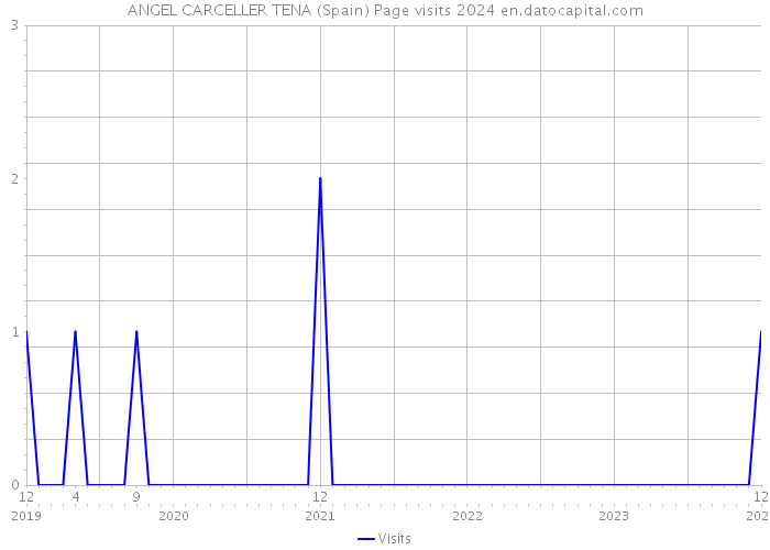ANGEL CARCELLER TENA (Spain) Page visits 2024 