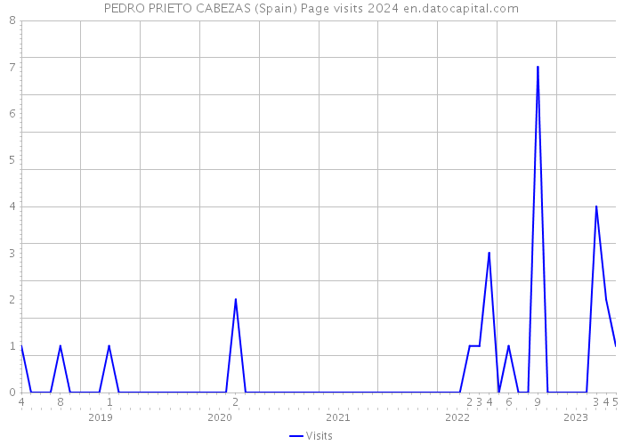 PEDRO PRIETO CABEZAS (Spain) Page visits 2024 