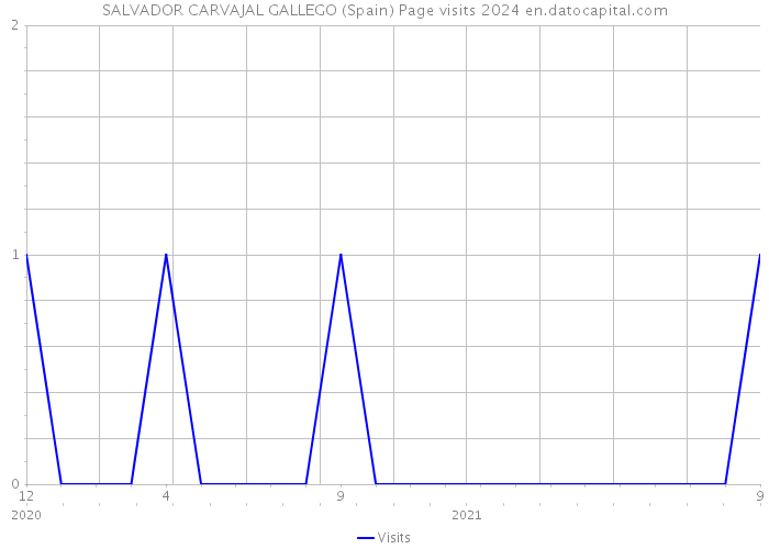 SALVADOR CARVAJAL GALLEGO (Spain) Page visits 2024 