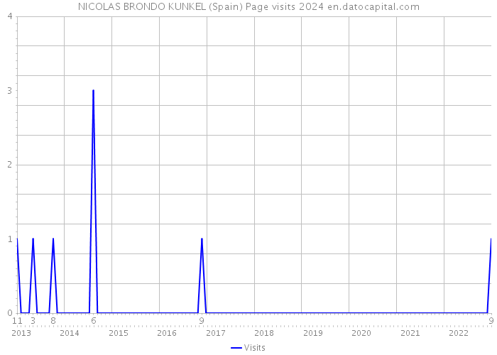 NICOLAS BRONDO KUNKEL (Spain) Page visits 2024 