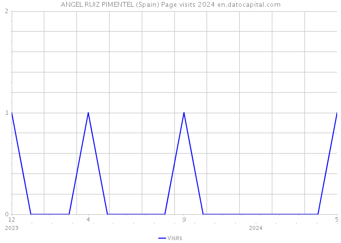 ANGEL RUIZ PIMENTEL (Spain) Page visits 2024 