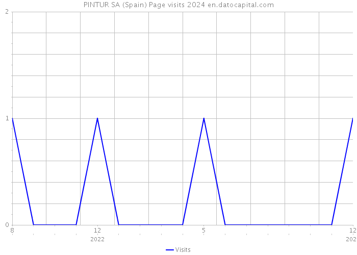 PINTUR SA (Spain) Page visits 2024 