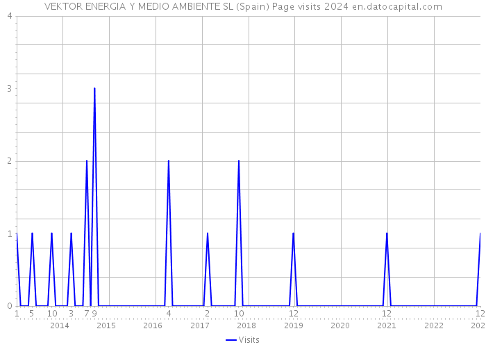 VEKTOR ENERGIA Y MEDIO AMBIENTE SL (Spain) Page visits 2024 