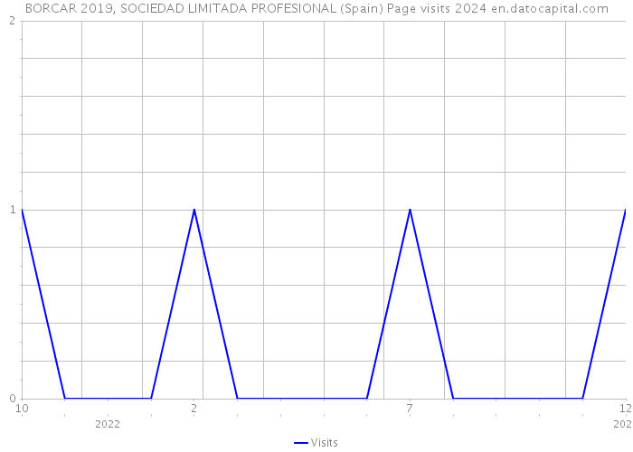 BORCAR 2019, SOCIEDAD LIMITADA PROFESIONAL (Spain) Page visits 2024 