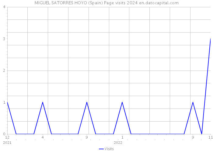 MIGUEL SATORRES HOYO (Spain) Page visits 2024 