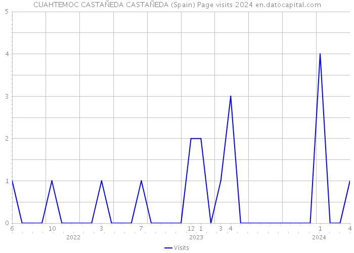 CUAHTEMOC CASTAÑEDA CASTAÑEDA (Spain) Page visits 2024 