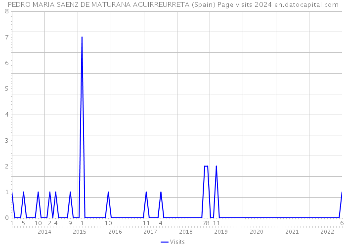 PEDRO MARIA SAENZ DE MATURANA AGUIRREURRETA (Spain) Page visits 2024 