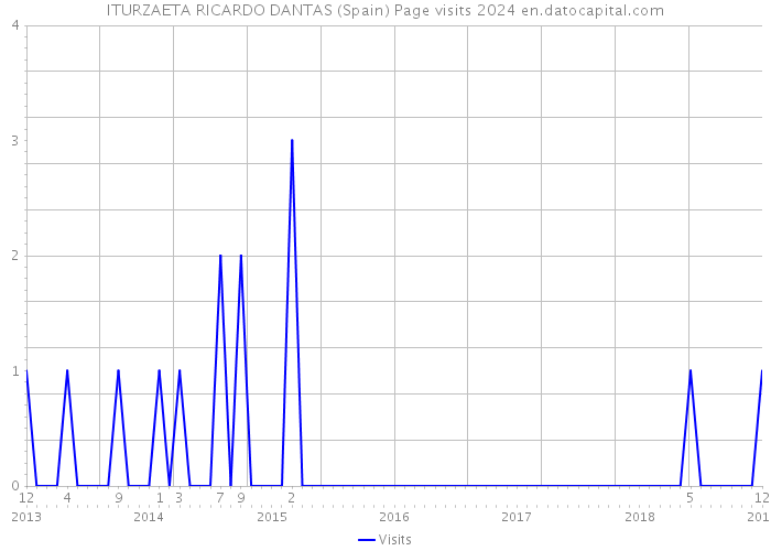 ITURZAETA RICARDO DANTAS (Spain) Page visits 2024 