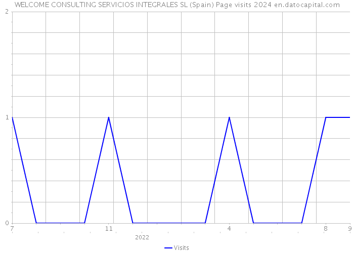 WELCOME CONSULTING SERVICIOS INTEGRALES SL (Spain) Page visits 2024 