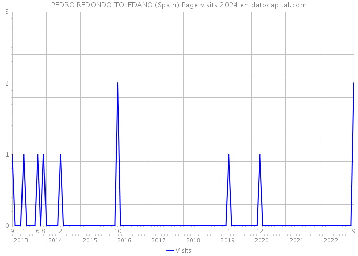 PEDRO REDONDO TOLEDANO (Spain) Page visits 2024 
