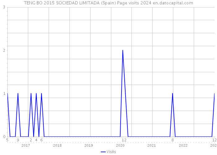 TENG BO 2015 SOCIEDAD LIMITADA (Spain) Page visits 2024 