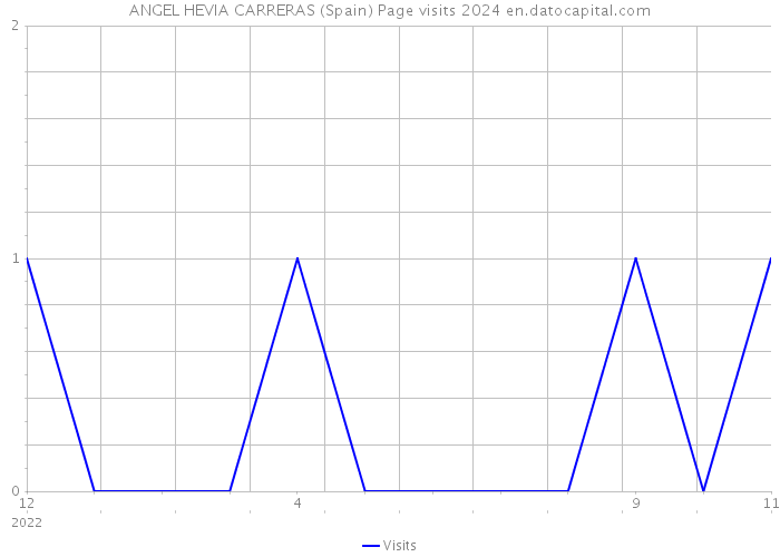 ANGEL HEVIA CARRERAS (Spain) Page visits 2024 