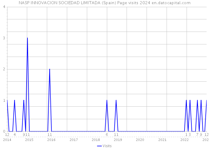 NASP INNOVACION SOCIEDAD LIMITADA (Spain) Page visits 2024 