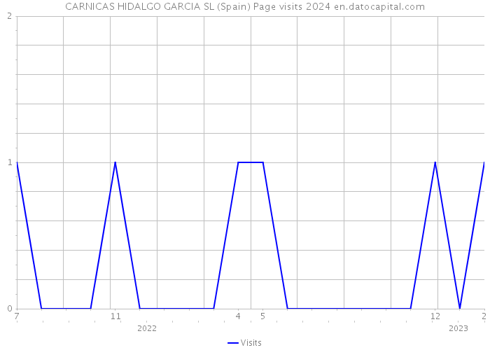 CARNICAS HIDALGO GARCIA SL (Spain) Page visits 2024 