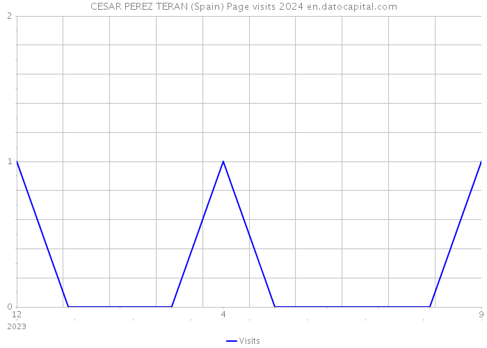CESAR PEREZ TERAN (Spain) Page visits 2024 