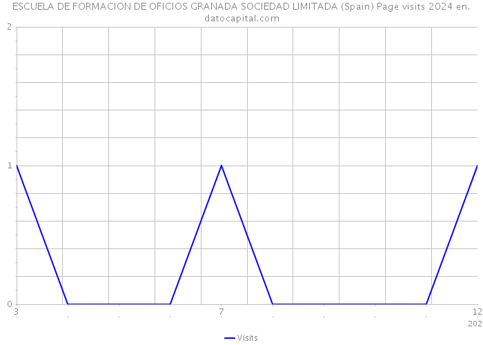 ESCUELA DE FORMACION DE OFICIOS GRANADA SOCIEDAD LIMITADA (Spain) Page visits 2024 