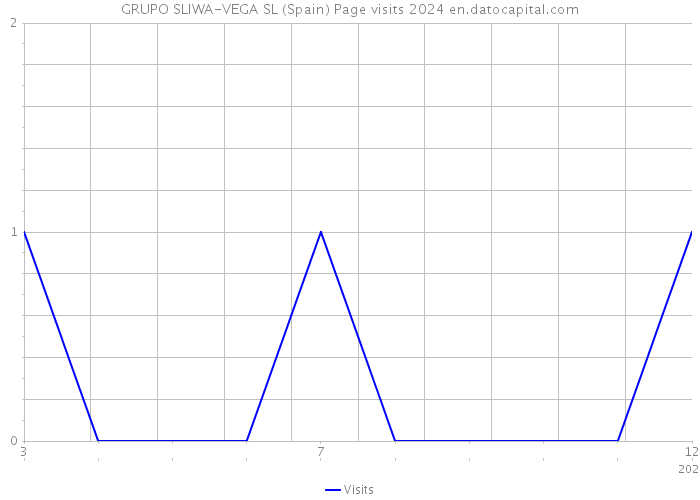 GRUPO SLIWA-VEGA SL (Spain) Page visits 2024 