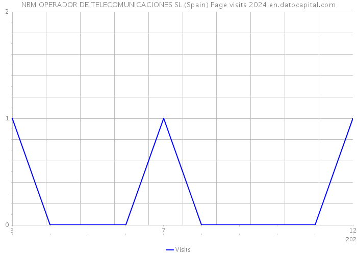 NBM OPERADOR DE TELECOMUNICACIONES SL (Spain) Page visits 2024 