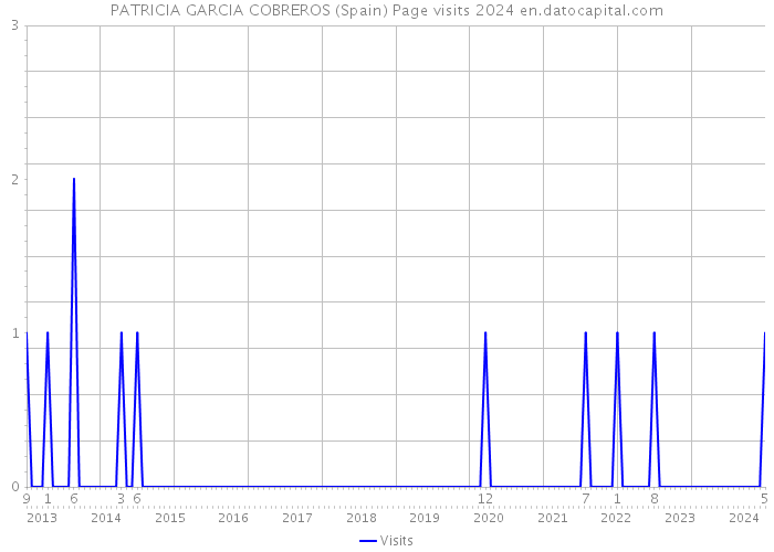 PATRICIA GARCIA COBREROS (Spain) Page visits 2024 