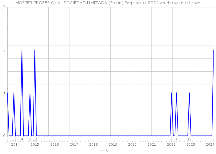 HOSPER PROFESIONAL SOCIEDAD LIMITADA (Spain) Page visits 2024 