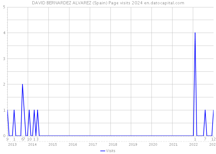 DAVID BERNARDEZ ALVAREZ (Spain) Page visits 2024 