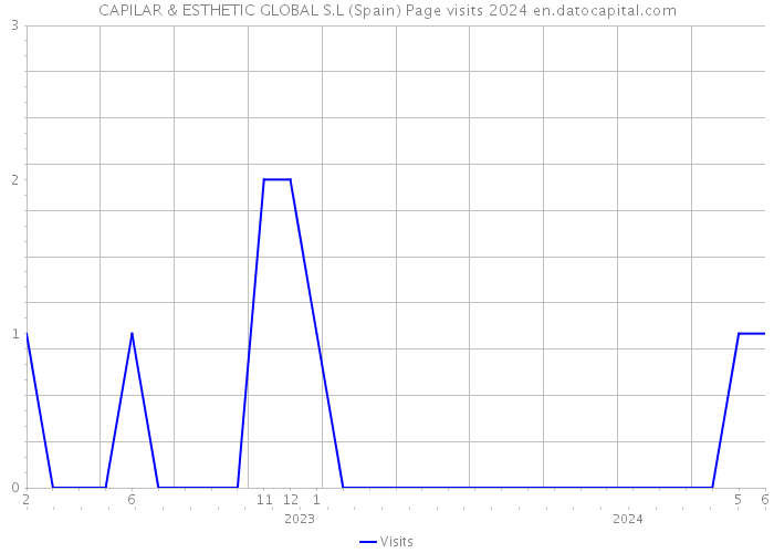 CAPILAR & ESTHETIC GLOBAL S.L (Spain) Page visits 2024 