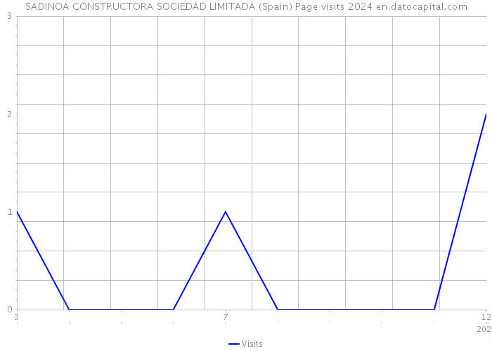 SADINOA CONSTRUCTORA SOCIEDAD LIMITADA (Spain) Page visits 2024 