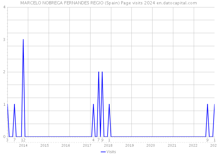MARCELO NOBREGA FERNANDES REGIO (Spain) Page visits 2024 