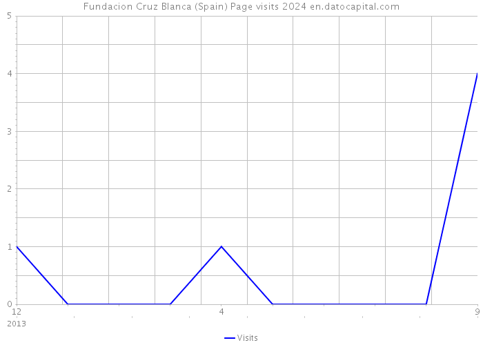 Fundacion Cruz Blanca (Spain) Page visits 2024 