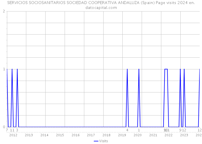 SERVICIOS SOCIOSANITARIOS SOCIEDAD COOPERATIVA ANDALUZA (Spain) Page visits 2024 