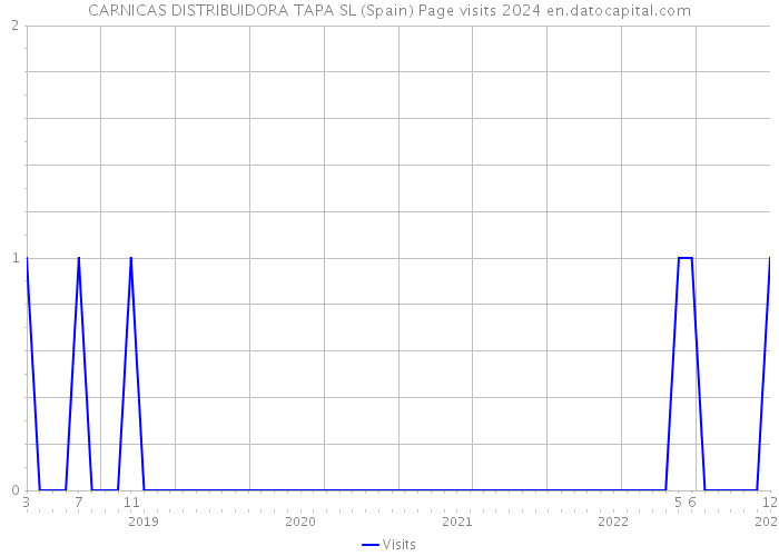 CARNICAS DISTRIBUIDORA TAPA SL (Spain) Page visits 2024 