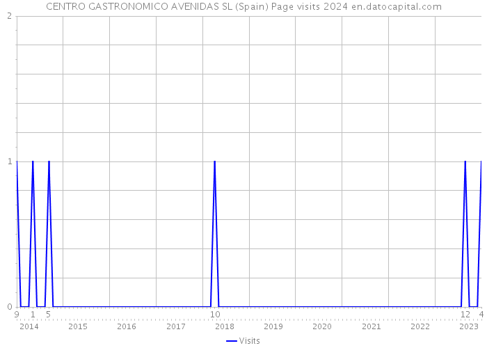 CENTRO GASTRONOMICO AVENIDAS SL (Spain) Page visits 2024 