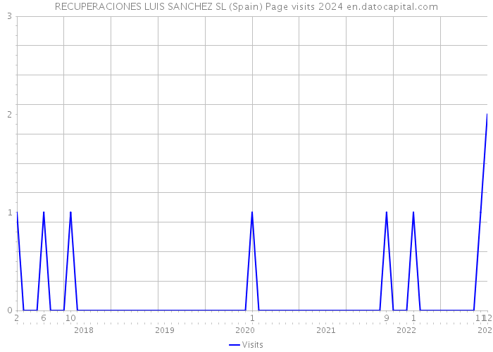 RECUPERACIONES LUIS SANCHEZ SL (Spain) Page visits 2024 