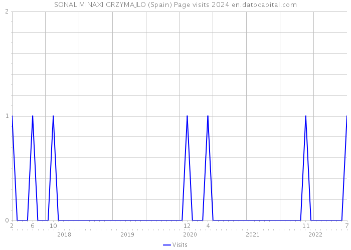 SONAL MINAXI GRZYMAJLO (Spain) Page visits 2024 