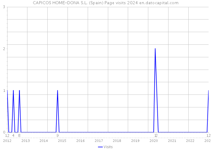 CAPICOS HOME-DONA S.L. (Spain) Page visits 2024 