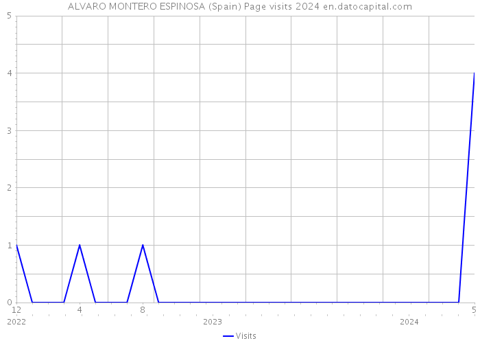 ALVARO MONTERO ESPINOSA (Spain) Page visits 2024 