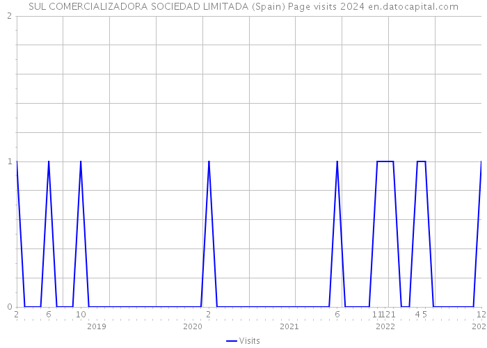 SUL COMERCIALIZADORA SOCIEDAD LIMITADA (Spain) Page visits 2024 