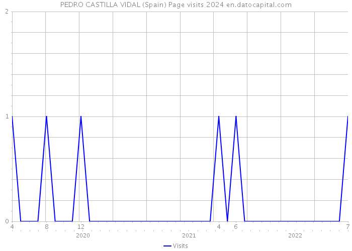 PEDRO CASTILLA VIDAL (Spain) Page visits 2024 