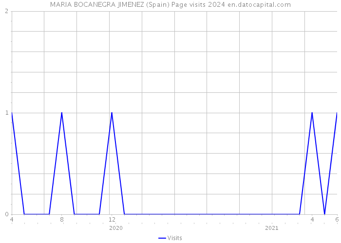 MARIA BOCANEGRA JIMENEZ (Spain) Page visits 2024 