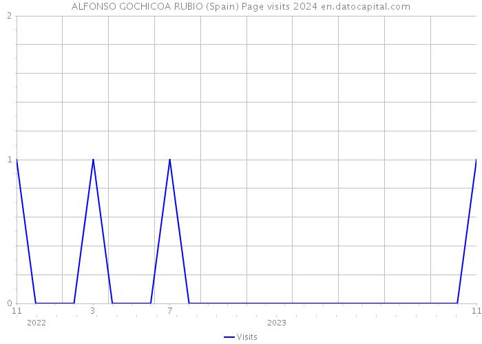 ALFONSO GOCHICOA RUBIO (Spain) Page visits 2024 