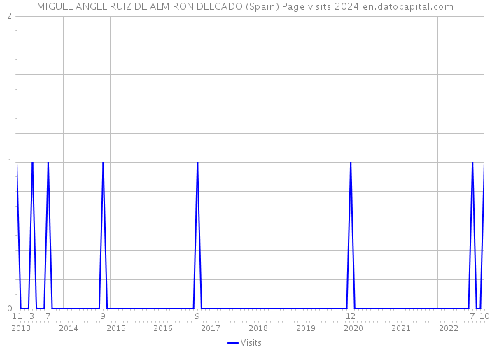 MIGUEL ANGEL RUIZ DE ALMIRON DELGADO (Spain) Page visits 2024 