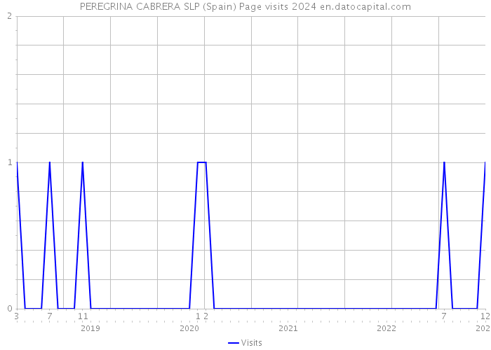 PEREGRINA CABRERA SLP (Spain) Page visits 2024 